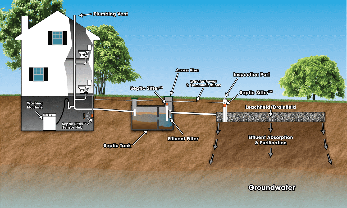 Problems with Septic Tanks – TrenchPress